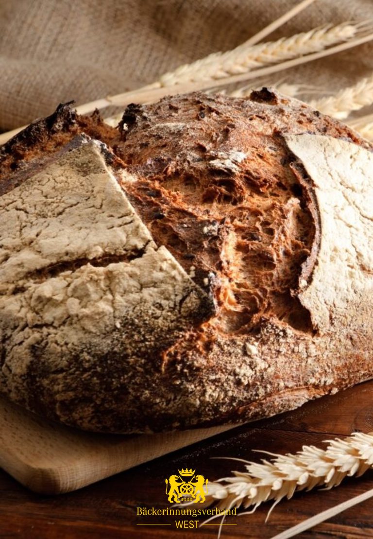 AUS- UND WEITERBILDUNG